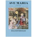 „Ave Maria“ - Ein handliches Wallfahrtsbüchlein